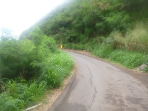 West Maui Loop